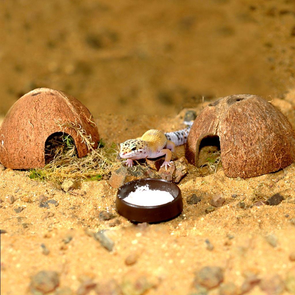 Habistat leopard gecko starter sales kit